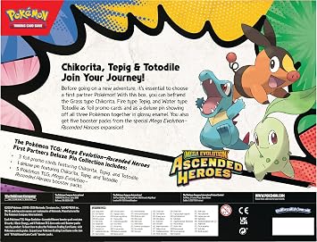 Pokemon First Partner Illustration Collection