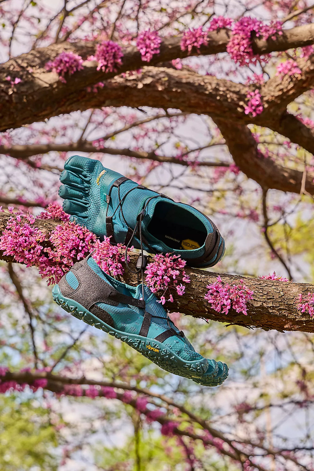 Spidrwalk FiveFingers