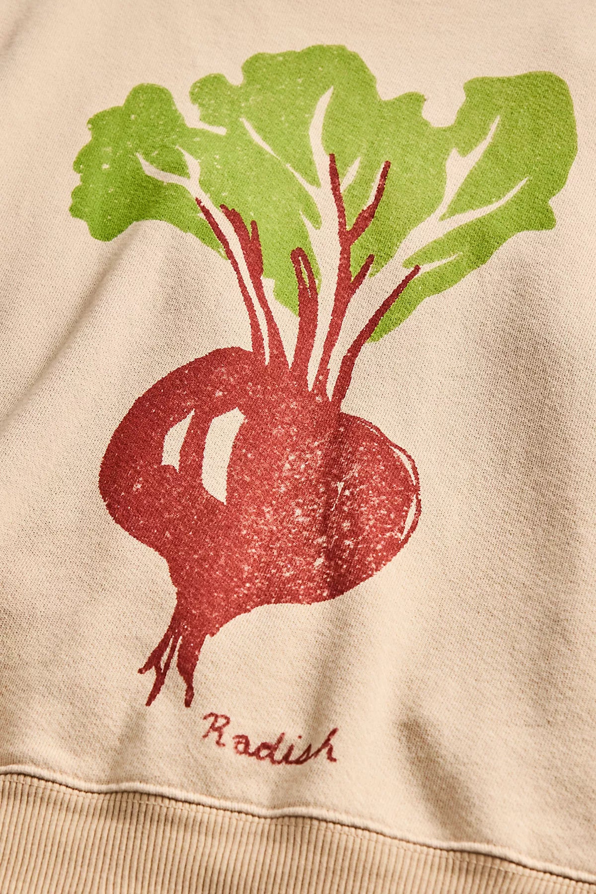 We The Free Graphic Camden Pullover